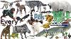 Every Hasbro G I Joe Classified Series Pets Or Animals Comparison List