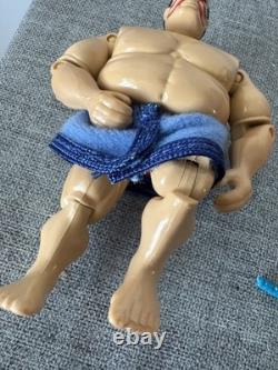 Gi Joe / Street Fighter 2 Amazing Full Run of Figures including Rares & Variants