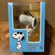 Snoopy Medicom Toy VCD Figure Joe Cool